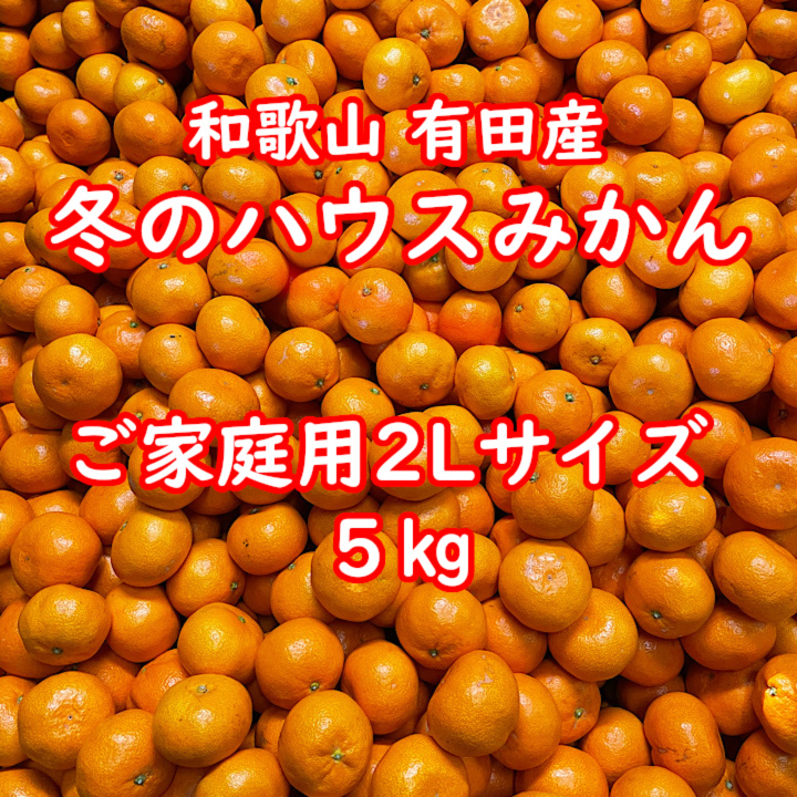 越冬完熟早生・ご家庭用・２Ｌサイズ・5㎏】和歌山有田産！冬のハウス