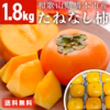 【特別商品】和歌山県杉本さんのたねなし柿（家庭用1.8kg・6〜9個 送料無料）