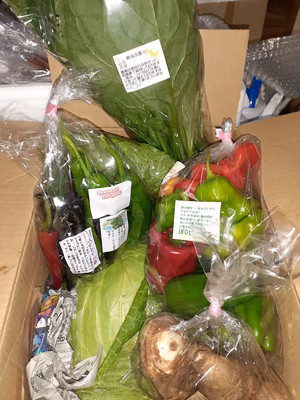 みんなの投稿の画像