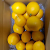 皮までバリバリ食べれるレモン 　各種重量　まとめ買いがお得