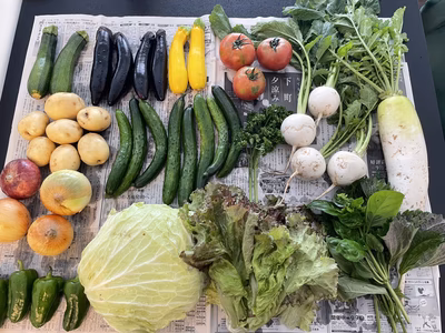 みんなの投稿の画像