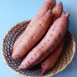 【訳あり】ねっとり極甘！　安納芋 M/Lサイズ混合　3kg（土付き）