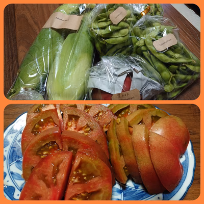 みんなの投稿の画像