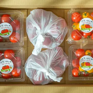 【New!】⭐濃厚ミックスフルーツトマト「ポモロッサ」お試し2つセット