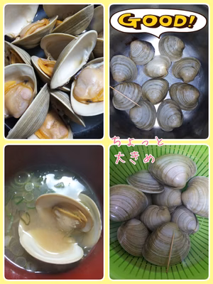 みんなの投稿の画像