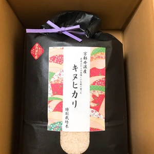 令和元年産【特別栽培米】京都丹波産キヌヒカリ1等米10Kgとミルキークイーン米粉