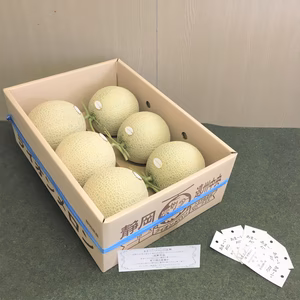 静岡メロン 　☆糖度14度以上☆ご家庭用☆農家直送☆