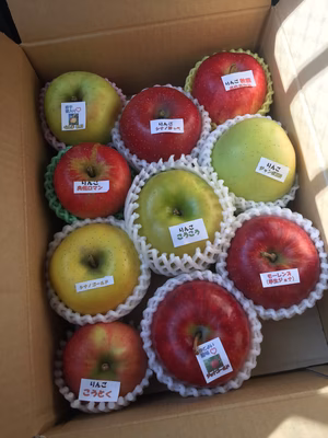 みんなの投稿の画像