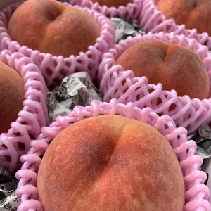 【桃の王様‼︎】硬めの桃‼︎大人気品種、川中島白桃‼︎お買い得‼︎6〜8玉