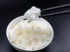 学生と作ったお米5種食べ比べセット（白米）