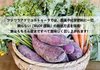 【通常価格】100サイズ今が旬の新物さつまいも２㎏と旬の野菜4~5品目