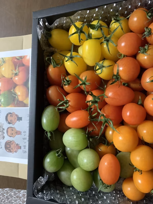 みんなの投稿の画像