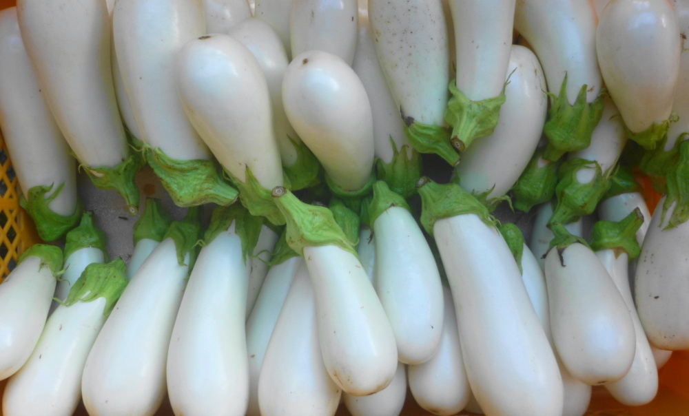 猛暑に勝 とろ り 白ナス さっぱりパワー 農薬 化学肥料 不使用 農家漁師から産地直送の通販 ポケットマルシェ