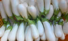 猛暑に勝★とろ～り＊白ナス15/さっぱりパワー＊農薬/化学肥料・不使用