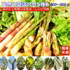 《予約受付》天然山菜5種以上詰合せB 800~900g以上 山形産