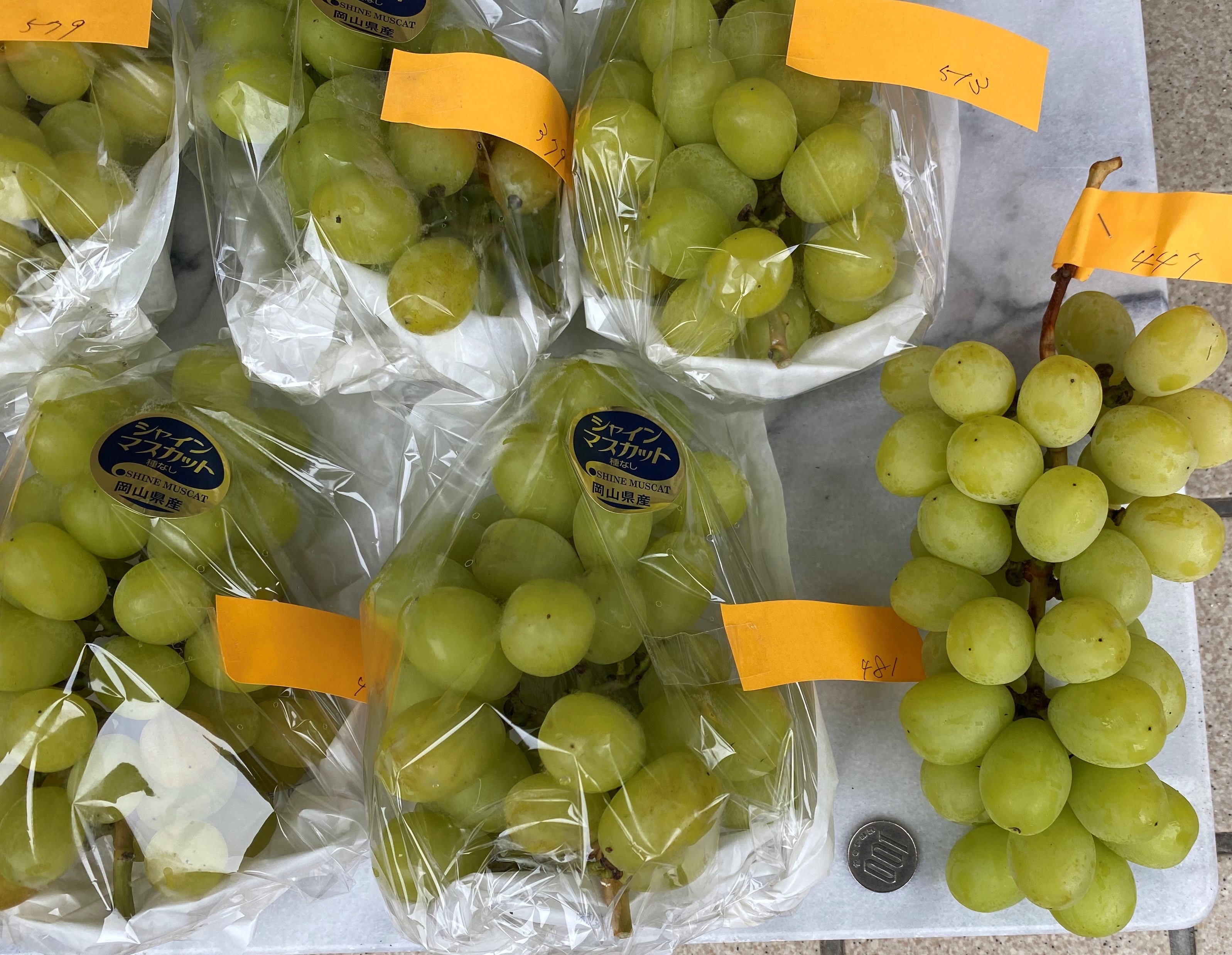 タンポポ農園の小粒なシャインマスカット｜ぶどうの商品詳細｜ポケット
