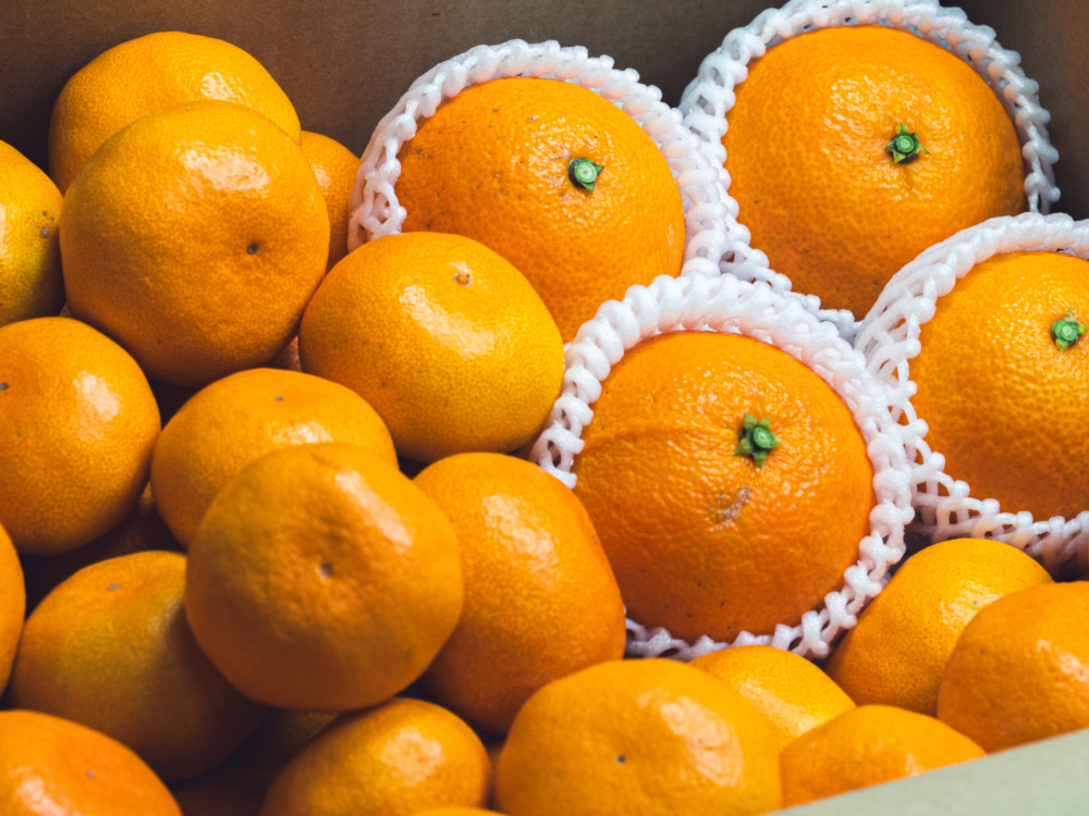 カオル54　秀品まどんな4kg ＋南柑20号サイズ混合4.5kgぐるりん 二大人気柑橘 食べ比べセット（コルマドンナ2.4kg／南柑20号2.4kg