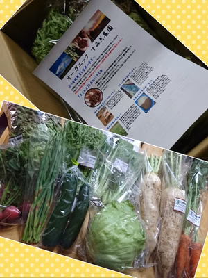 みんなの投稿の画像