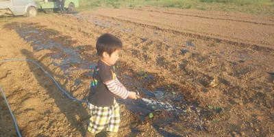 田畑から教育を