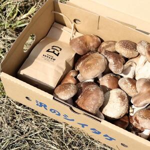 【お試し3合】南魚沼産コシヒカリ（精米）450g / ちょいワル椎茸１kgセット