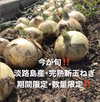 淡路島産玉ねぎ 今が旬!! 完熟新玉ねぎ‼️早生品種 10kg箱