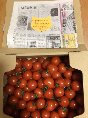 みんなの投稿の画像