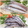 食卓に深海魚がやってくる！大メギスとメヒカリ中
