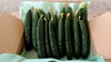 【朝採れ新鮮】花付きキュウリ