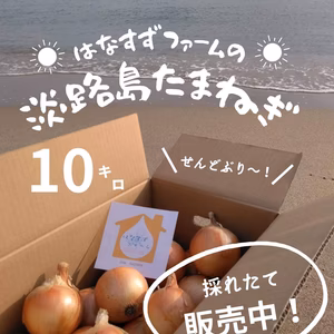 淡路島たまねぎ10キロ＊
