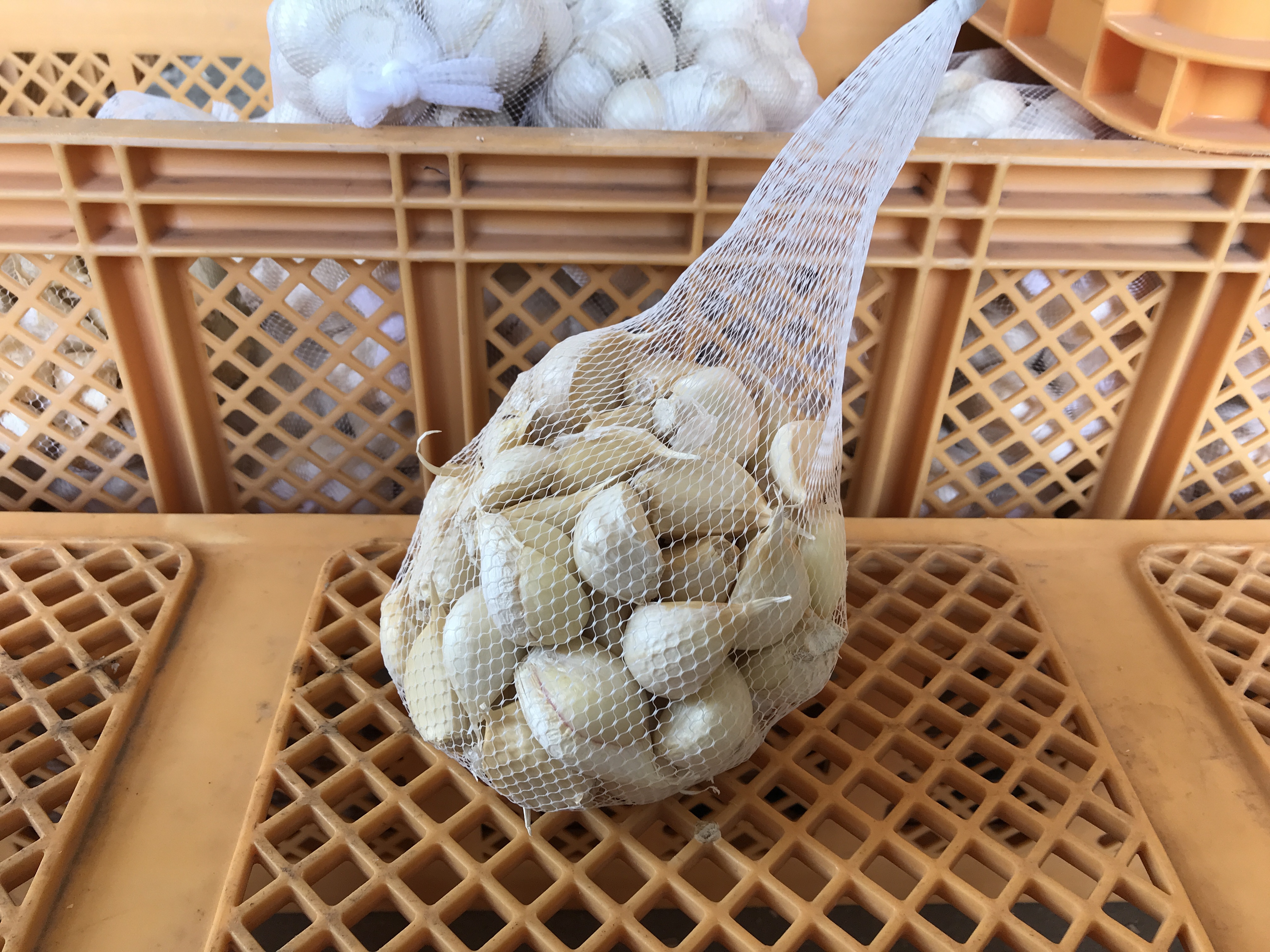 わけあり品】青森県産ホワイト六片種にんにく バラ 500g【高糖度