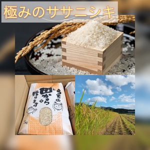予約限定価格☆新米5kg 極みのササニシキ 山形県　令和3年度産