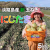 【肉厚ジューシー!!】淡路島産ブランド新玉ねぎ 『にじたま』一級品5kg