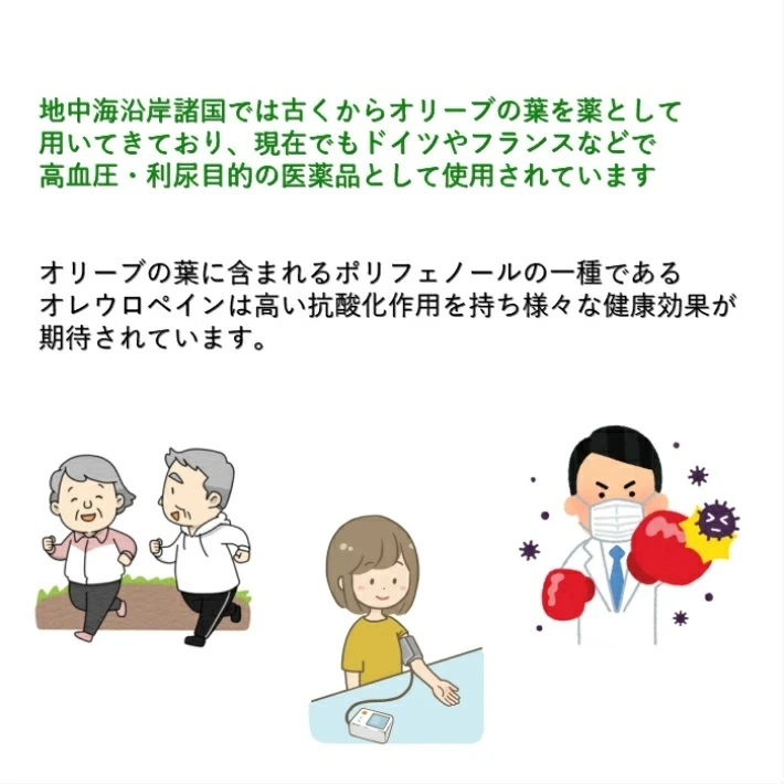 雲仙有機オリーブリーフパウダー　30ｇ【送料無料】