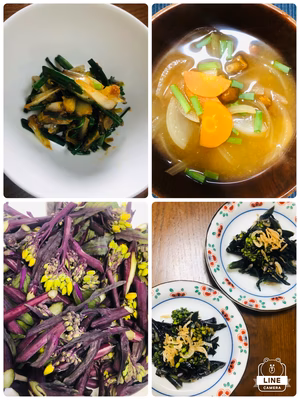 みんなの投稿の画像