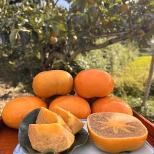 【送料500円引】黒ゴマ模様の入ったパリパリの紀ノ川柿 3kg