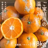 ご家庭用・伊豆の温州みかん【減農薬】