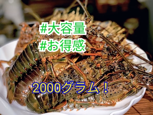 【メガ盛り！！】活け〆冷凍伊勢海老2㎏入り