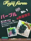 岡山県産　ナガノパープル　　2キロ箱　【8月〜出荷】数量限定