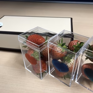 【バレンタイン限定】３品種いちご食べきりセット