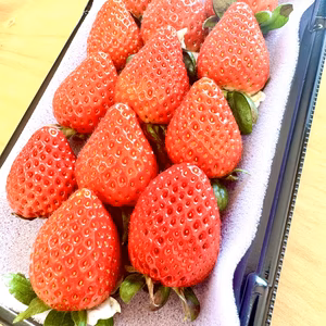 今話題のいちご「あまりん」