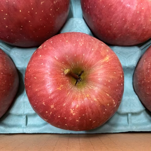 ❗即完売商品の 訳あり品❗　安定の美味しさ　葉隠れサンふじ