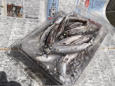 みんなの投稿の画像