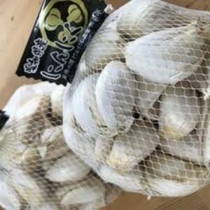 食品ロス削減品バラ　大放出! ガツンとくるにんにく　おまけ付き