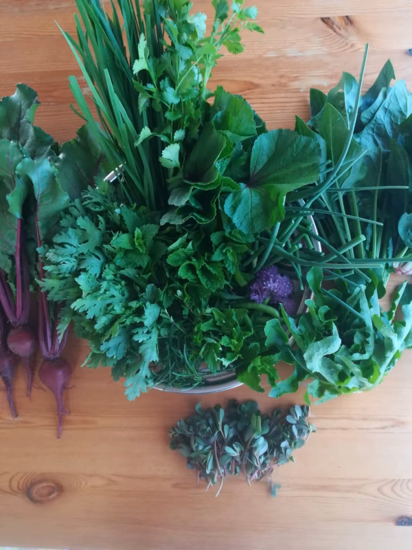 料理の名脇役！ハーブ/ちょっと変わった野菜がいろいろ試せるミニセット