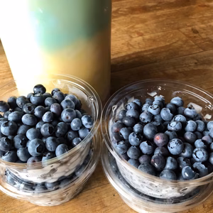 〇18年間農薬不使用 加工用（小さめ・やわらかい）！安曇野産ブルーベリー