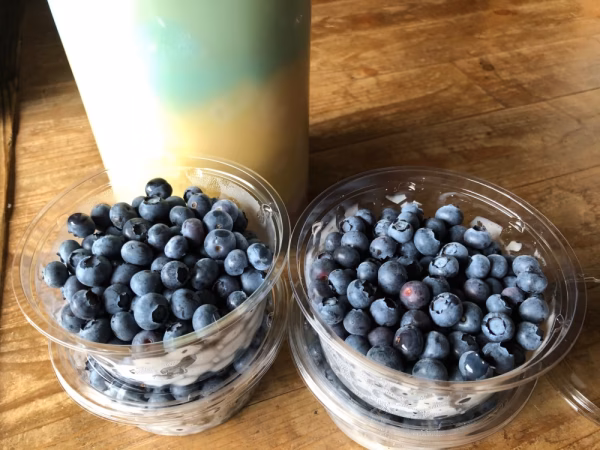 〇17年間農薬不使用 加工用（小さめ・やわらかい）！安曇野産ブルーベリー