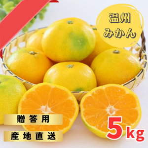 専用♥お年玉超特価❤みかん♥もちぷに♥規格外…大きなブランケット☆Ｗボアケット⭐ 世界一小さいみかん 桜島小みかん 【御自宅用12月出荷)｜みかん
