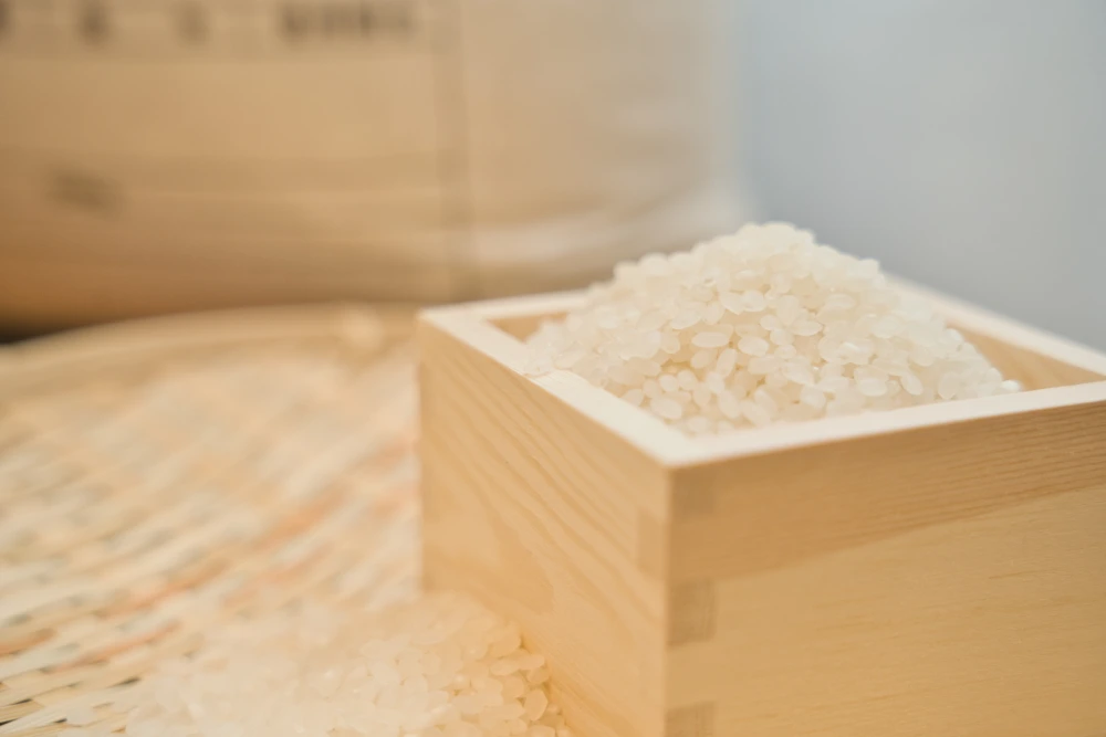 新米 北海道産 特別栽培米(令和5年産)おぼろづき 精米