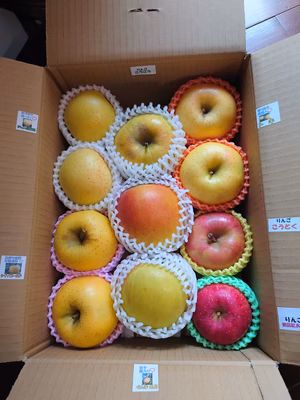 みんなの投稿の画像