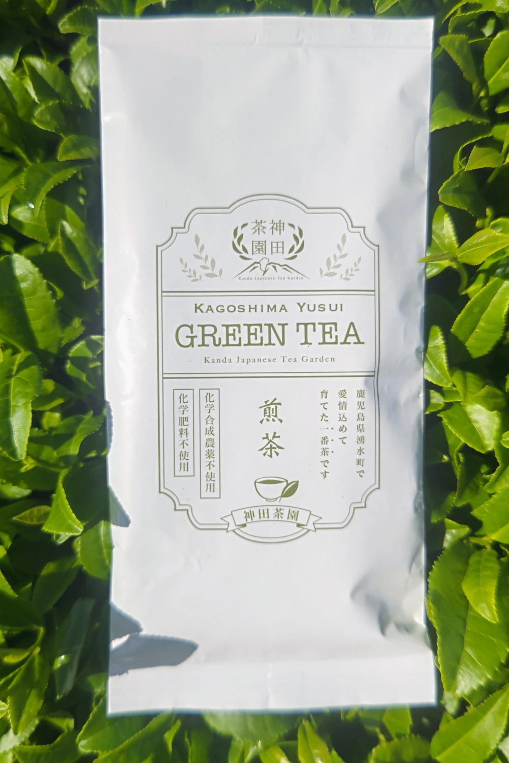 鹿児島茶 有機栽培茶 湧水煎茶